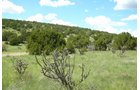 Property photo 40 - 7,320 Acres Offered in 5 Tracts